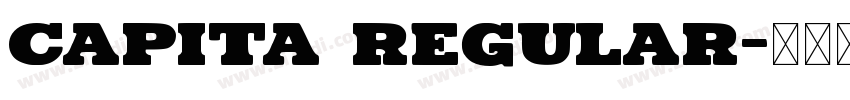 Capita regular字体转换